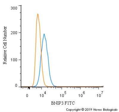 Flow Cytometry: BNIP3 Antibody [FITC] [NBP1-77683F] - An intracellular stain was performed on PC12 cells with BNIP3 Antibody NBP1-77683F (blue) and a matched isotype control (orange). Cells were fixed with 4% PFA and then permeabilized with 0.1% saponin. Cells were incubated in an antibody dilution of 10 ug/mL for 30 minutes at room temperature. Both antibodies were conjugated to FITC.